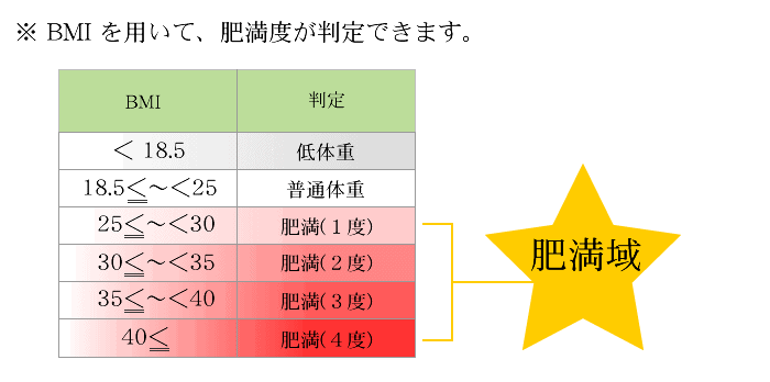BMIで肥満判定